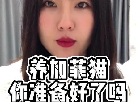 加菲猫可爱但是也更操心,想养好一只加菲的话你要做好充分的准备哦!#加菲猫 #肥猫 #科学养宠攻略 #养猫新手