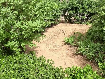 子女对父母的离世走不出来怎么办,我是这样很快走了出来