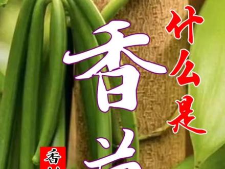 知道,但不一定真知道;吃过,但不一定见过。#香草#品味生活 #香道文化 #制香 #太香了 @抖音小助手