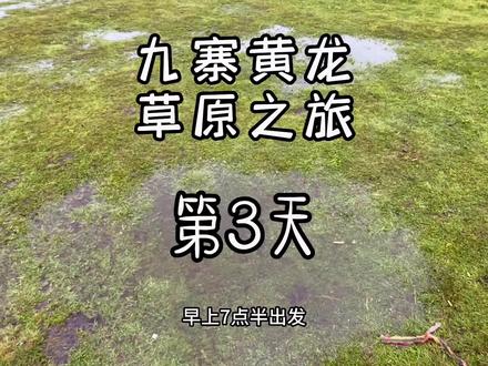 镰刀坝草原,是若尔盖的一个分支,也很漂亮,从九寨沟驱车大概2个小时,下过雨,很冷,多带一件衣服#若尔盖大草原 #镰刀坝草原 #川西美景 #九寨沟旅游攻略