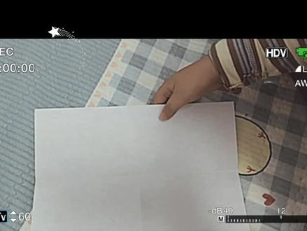 #手工diy 陈大胖自创的航空母舰战斗机✈️