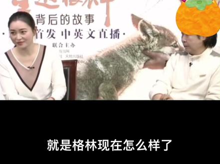 网友最关心的三个问题#重返狼群#李微漪#格林#微漪的唯一#重返狼群背后的故事