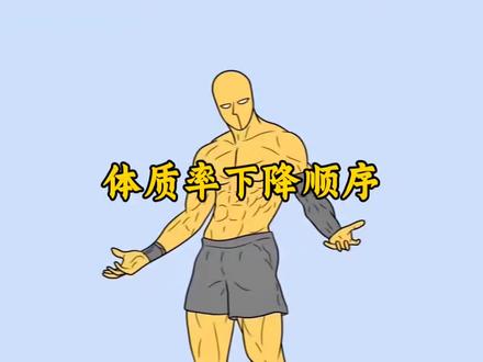 这才是体脂率下降的正确顺序,搞懂这四步,你就明白怎么减脂了!#减脂 #体脂率 #减肥 #健身干货