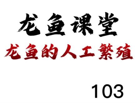 龙鱼课堂 103
龙鱼的人工繁殖
#龙鱼 #观赏鱼 #水族 @抖音创作者中心 @