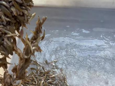 自己选自己做,才有意义#美食制作分享 #我是美食创作者 #美食视频