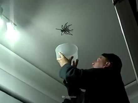 人被蜘蛛网缠住了,竟然会。。。