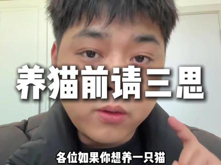养猫前请三思#新手养猫 #养猫人 #养猫经验分享