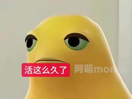那些说我菜的我再也不会笑了#娱乐 #搞笑