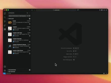 VS Code白嫖Google TPU!个人 AI 开发 #VSCode #TPU #云端 #AI #开发者