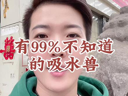 吸水兽大家听过见过吗?吸水兽.蚣蝮,古代水为💰,故也叫吸💰兽,有招💰进宝之寓意,寓意风调雨顺,四方平安;古人说:每日有进斗,日子有盼头。#精品石雕 #让文物抖起来 #赏石艺术