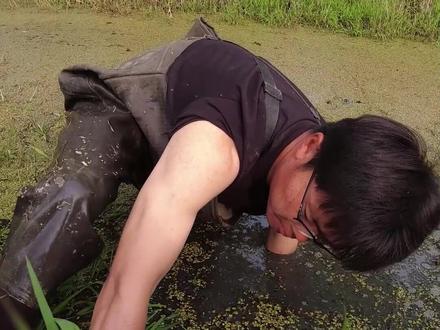 今天换个传统饵料逮黄鳝,带你们看看我是怎样下笼的#新农人计划2022 #來抖音学农技 @DOU+小助手