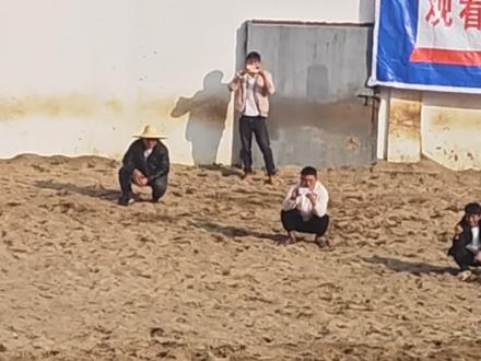 飞来寺白脸对战新时金刚,飞来寺白脸全胜#斗牛