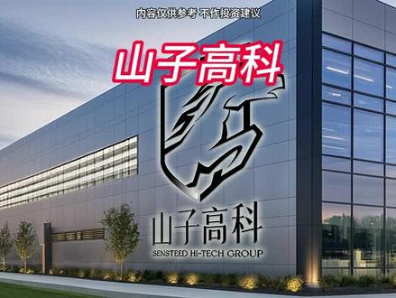 每天分析一家上市公司 #山子高科
