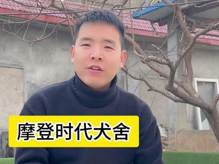 顶级陨石边牧繁殖 顶级陨石边牧繁殖 #陨石边牧 #赛级边牧 #双血统边牧 #边境牧羊犬