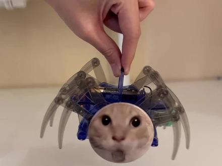 老公买的东西,越来越抽象了 #抽象 #玩个很新的东西