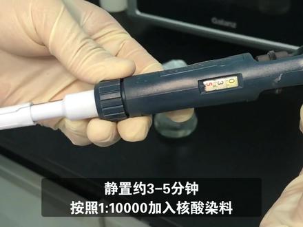手把手教你做实验_琼脂糖凝胶电泳