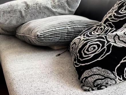 #花枝鼠 #花枝鼠训练教程 #鼠鼠我呀 希望对大家有帮助🤗