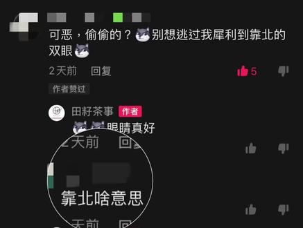 靠北啦的意思跟你想像中的一样吗? #台湾腔 #武汉话 #武汉田籽茶事奶茶店 @DOU+小助手