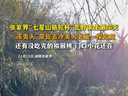 张家界“七星山骆驼杯”荒野求生第36天
“冻美人”带你去冷美人老巢一探究竟
还有没吃完的猕猴桃 门口小花还在#荒野求生 #冷美人 #荒野林北