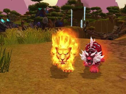 怀旧服20周年最大赢家猫德,火猫或者提前上线! #魔兽世界