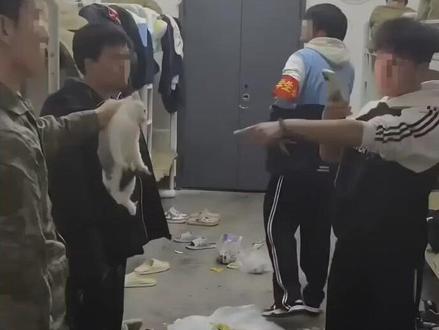 教官摔死小猫后续:正脸曝光+无耻挑衅,教体局介入,学校已辞退#热点新闻#每日新闻#社会百态