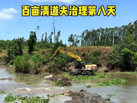 百亩清道夫治理行动第八天,没想到挖机都堵不住水流...#大表哥vlog #三农 #户外 #清道夫泛滥