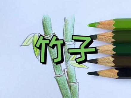 🍓教你画竹子#简笔画 #春天你好 #彩铅