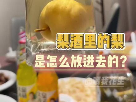 高端的东西果然需要最朴素的制作方法#梨酒 #冷知识 #人参果 #涨见识了 #万万没想到