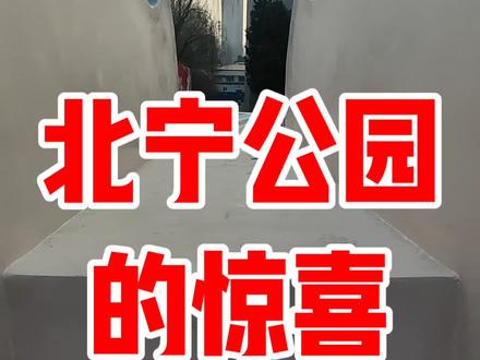 北宁公园的大象滑梯回来了。#北宁公园 #大象滑梯 #长颈鹿滑梯 #天津街景