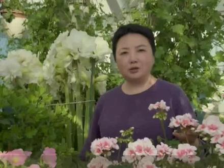 天竺葵三大核心问题,一网打尽❗️❗️❗️ 为什么你的天竺葵不开花还长虫?三大核心问题,解决它就能爆花!
#天竺葵养护 #养花知识 #封闭阳台养花 #天竺葵修剪 #天竺葵施肥