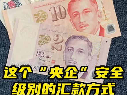 一起来解锁Singtel Dash这种又安全,又便捷的汇款方式,而且还支持华文界面...#新加坡 #新加坡生活