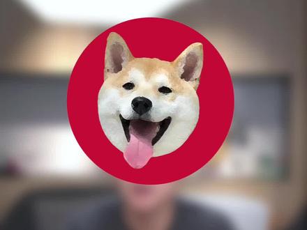 狗狗眼睛睁不开怎么办
#宠物知识 #狗狗 #汪星人