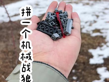 挑战!拼一个机械战狼! #玩具 #积木 #积木搭建 #乐高 #益智玩具