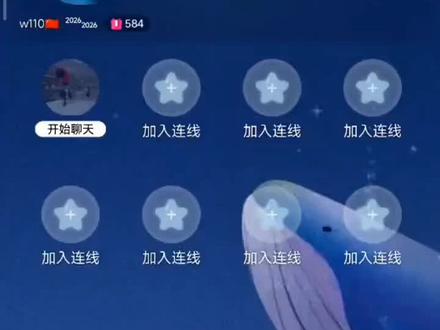 110姐直播间录屏