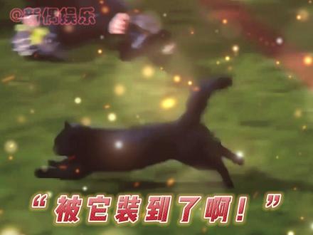 听说这是#梅西 的猫🌚#足球 #猫咪
