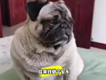 给李来钱做个安乐哈哈