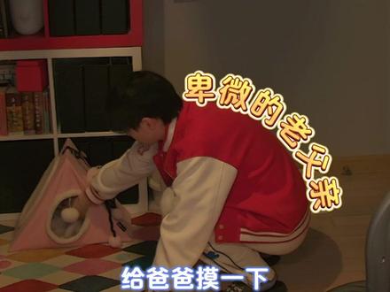 孩子大了不爱理人 #瓜鸹乐 #猫咪