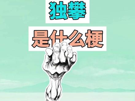 avicii SOS 独攀 什么梗-抖音
