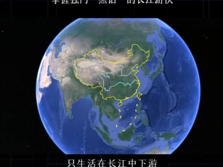 身怀绝活的“长江活化石” 凭着这手回声定位的绝活,长江江豚已经在地球上生存了2500万年!#江豚 #长江江豚 #长沙海底世界 #科普海洋 #哺乳动物