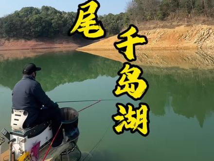 全国游钓黄尾-浙江千岛湖,我最喜欢的一个钓黄尾好地方,25尺黑拉R,主线1.0 子线0.4,2号袖钩,水深3.6左右,吃铅1.7,美俊黄尾饵料坐钓,这次个体小了点,没有狂拔,遗憾,这季节千岛湖确实有点难!#千岛湖 #钓鱼人#并继杆 #黄尾鲴 #美俊黄尾饵料