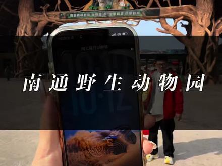 来南通旅游一定要去的南通野生动物园,因为一天逛不完,泰象表演和海狮表演、夜晚的白沙滩表演我们都没来得及去~但过年期间一直营业到到晚上7点~#南通旅游 #遛娃好去处 #南通动物园 #森迪部落酒店 #动物园
