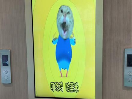 热梗大挑战❗️ #杭州拱墅吾悦广场 #哈基米 #鸽子舞 #pigeonpop #抽象