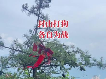 封山打狗 各自为战!#抖音二创激励计划#原创视频