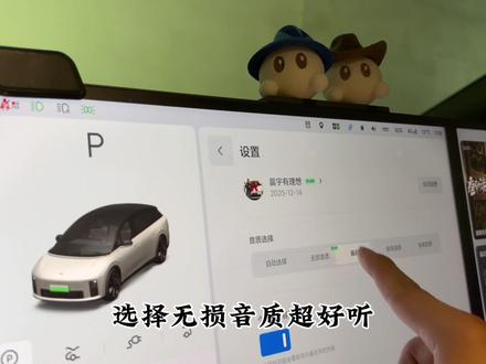 汽水音乐的羊毛薅起来#理想汽车