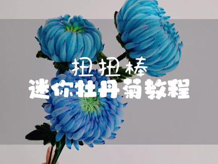 扭扭棒迷你版牡丹菊教程~
#我的手工作品 #扭扭棒花束 #牡丹菊