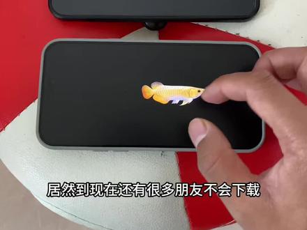 《黑盒资源》金龙鱼电视屏保下载和设置教程,电视养鱼教程,金龙鱼屏保下载教程,金龙鱼动态壁纸下载,金龙鱼4k超清全面屏。海信电视机屏保龙鱼设置教程,金龙鱼动态壁纸下载免费,TCL金龙鱼电视屏保设置教程,小米电视金龙鱼屏保设置教程,金龙鱼屏保高清4K下载教程, #电视养鱼教程 #电子养鱼 #电视屏保 #金龙鱼屏保 #电视屏保设置教程电视养鱼,电子养鱼。金龙鱼电视屏保教程