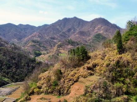 山重水复疑无路,柳暗花明又一村。走进洪阳村。 #是谁打翻了大自然调色盘 #美丽乡村 #镇坪 #我的乡村生活 #新农村
