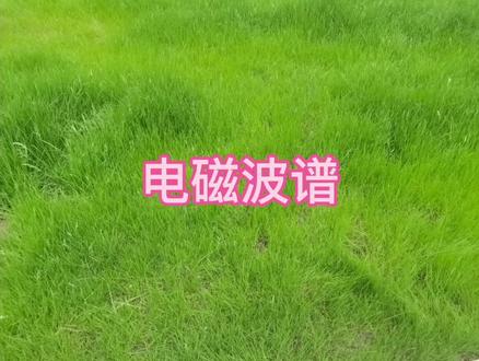 电磁波谱及应用#物理