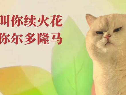 火花断了 你命也没了#续火花 #少儿频道 #日常