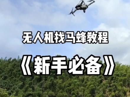 新手用无人机找蜂注意的几个步骤,第一,先看好蜂飞的方向,这样容易跟标。第二,当马蜂差不多起飞时,无人机在起飞这样节省电量。第三,随时保持让蜂标在画面中心,也就是无人机正前方,这样不容易丢标。学会这几点就能轻松找到蜂窝了。不懂的评论区跟我说,谢谢#创作灵感 #户外找蜂 #诱蜂水 #无人机找马蜂 #金环虎头蜂